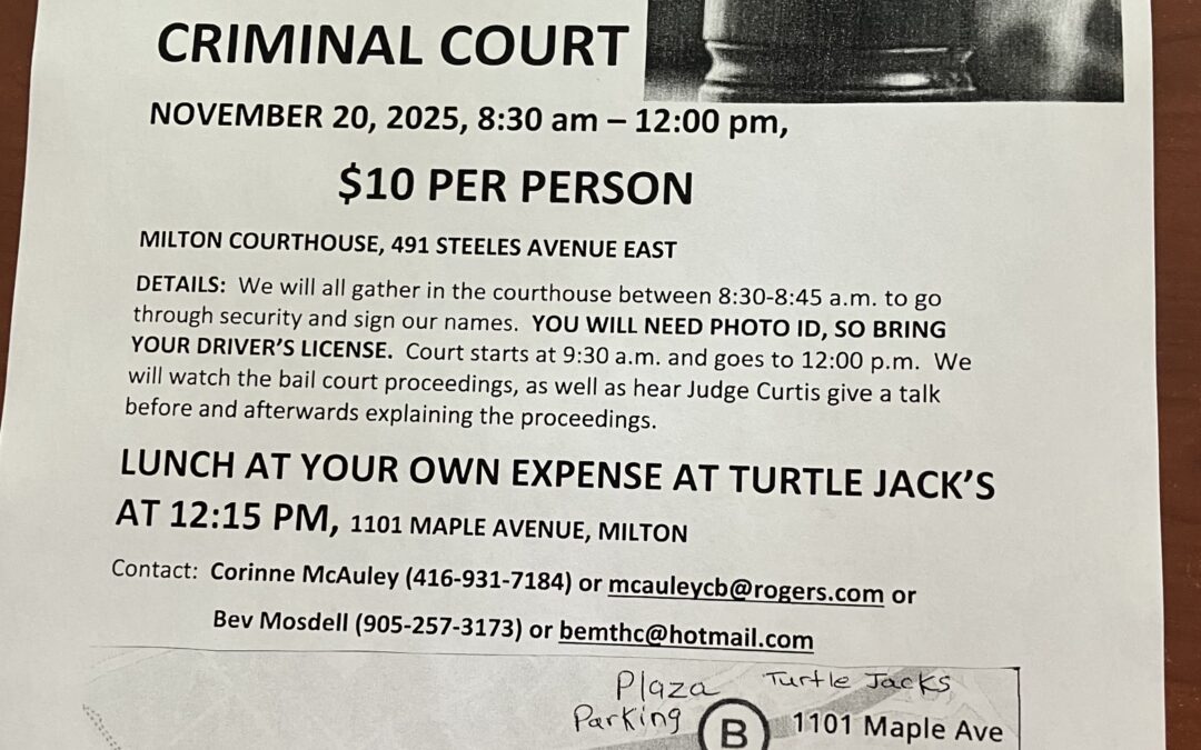 BAIL HEARING CRIMINAL COURT EVENT – November 20, 2025